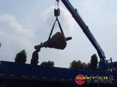 陽江核電站電力頂管工程